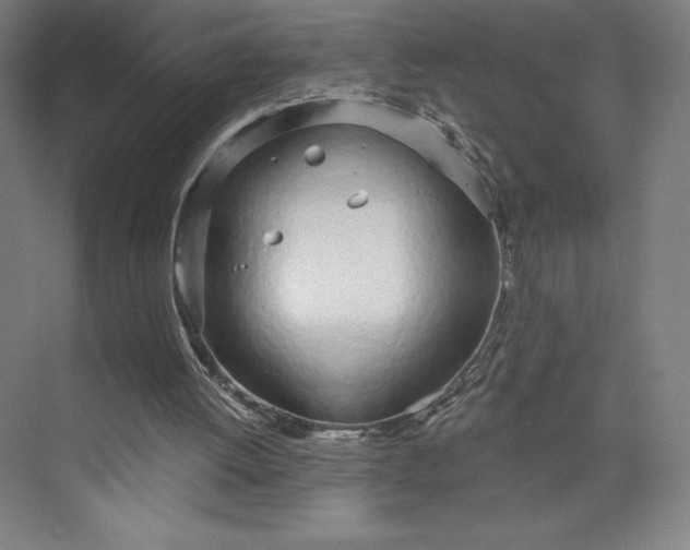 X0000073990052200609061008