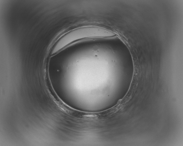 X0000073990053200609061008