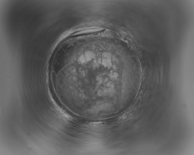 X0000073990054200609061008