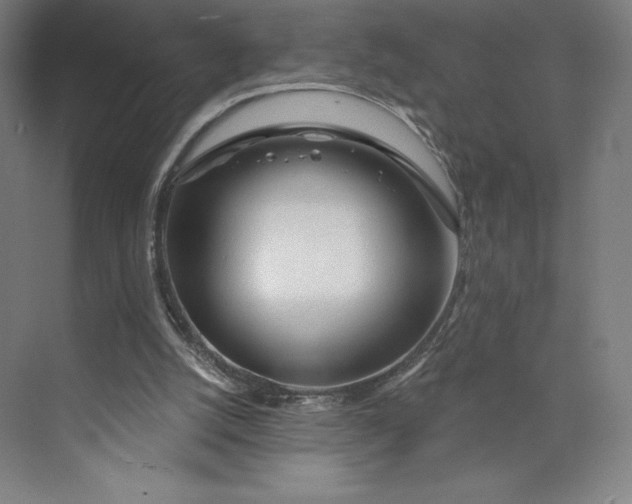 X0000073990056200609061008