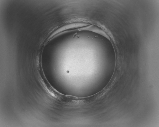 X0000073990057200609061008