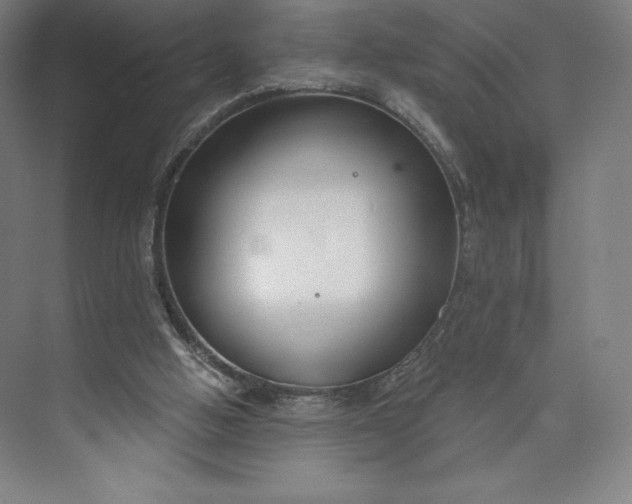 X0000073990058200609061008