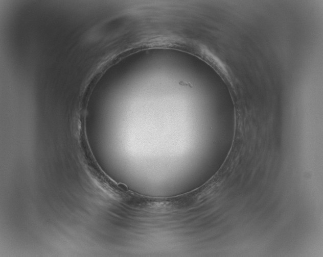 X0000073990059200609061008