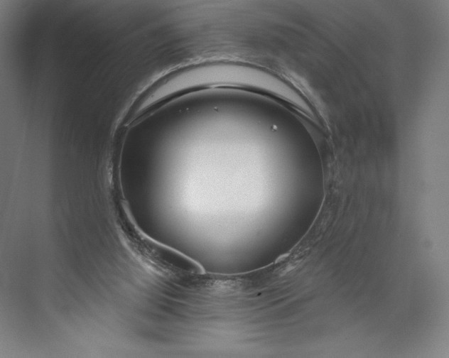 X0000073990060200609061008