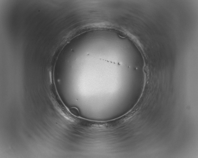 X0000073990061200609061008