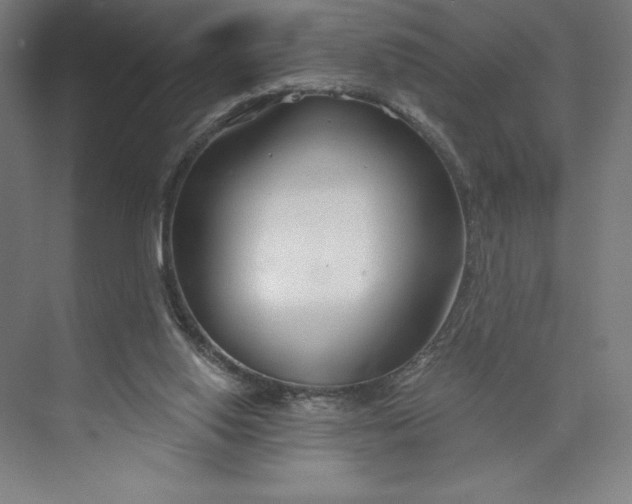 X0000073990062200609061008