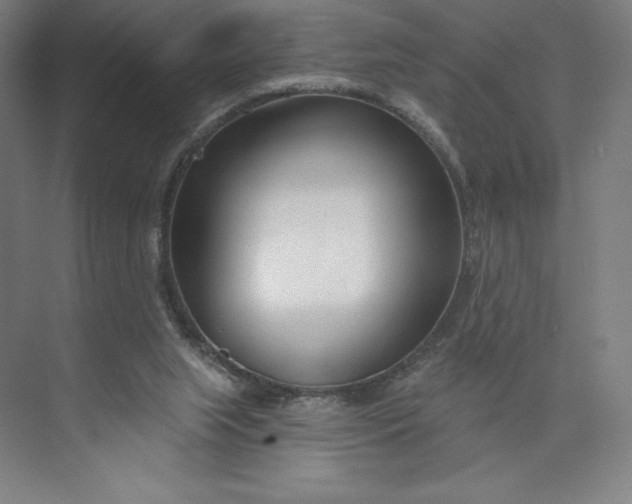 X0000073990063200609061008