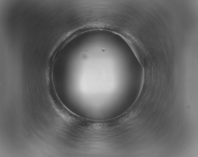 X0000073990064200609061008