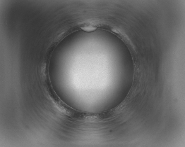 X0000073990066200609061008