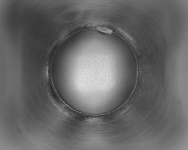 X0000073990067200609061008