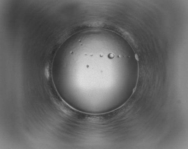 X0000073990069200609061008