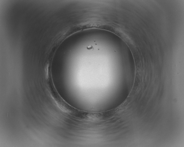 X0000073990070200609061008