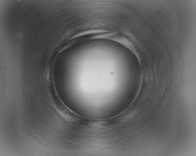 X0000073990072200609061008