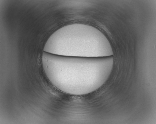 X0000073990073200609061008