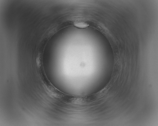 X0000073990074200609061008