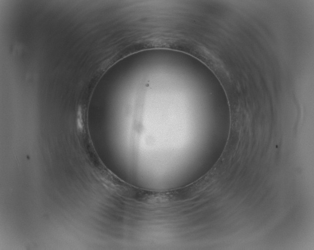 X0000073990075200609061008