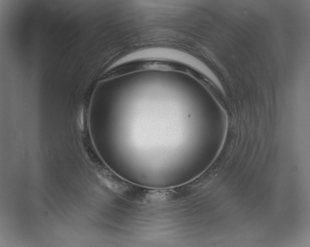 X0000073990076200609061008