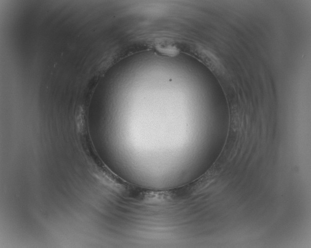 X0000073990077200609061008