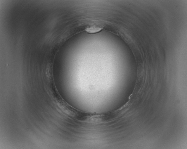 X0000073990078200609061008