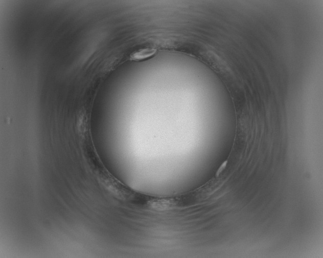 X0000073990079200609061008