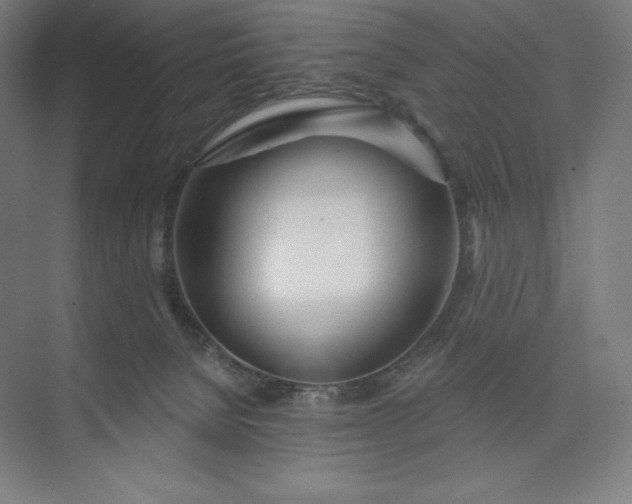 X0000073990080200609061009