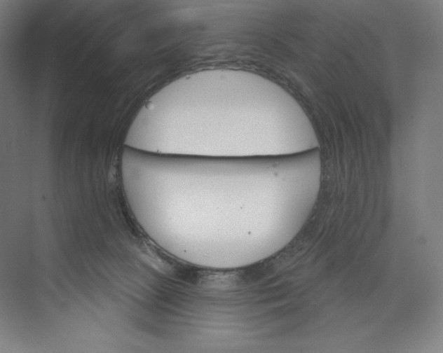 X0000073990081200609061009