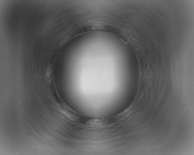 X0000073990082200609061009