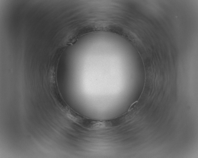 X0000073990083200609061009