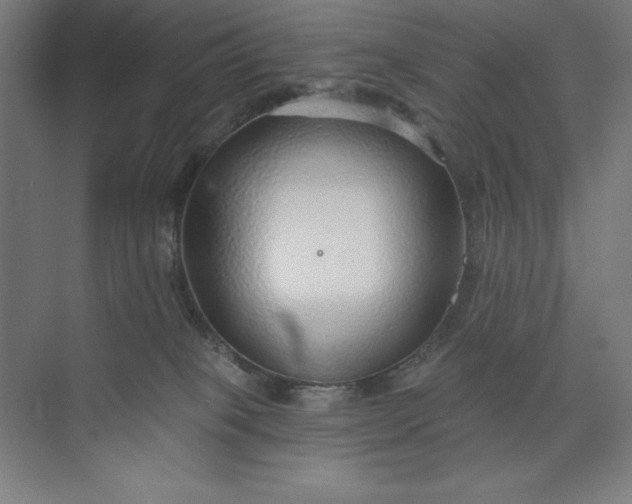 X0000073990085200609061009