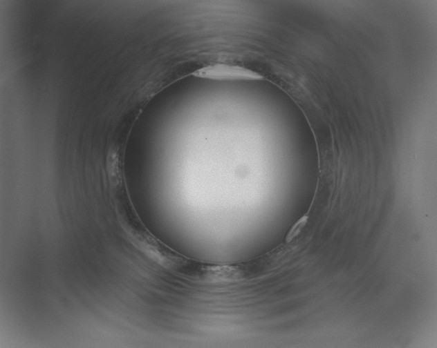 X0000073990087200609061009