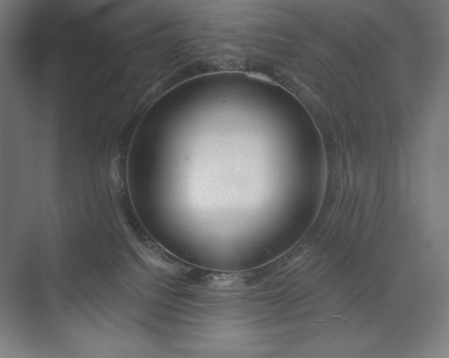 X0000073990088200609061009