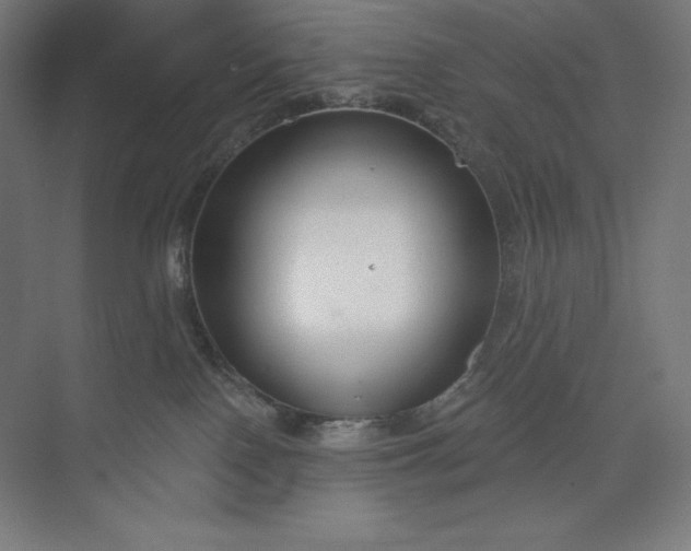 X0000073990090200609061009