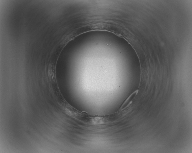 X0000073990091200609061009