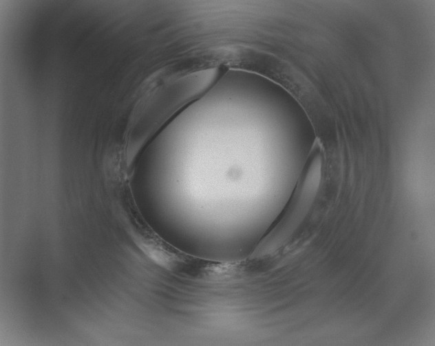 X0000073990092200609061009