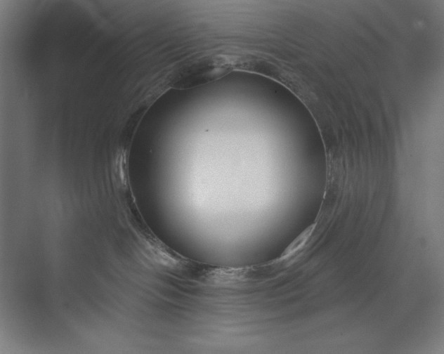 X0000073990094200609061009