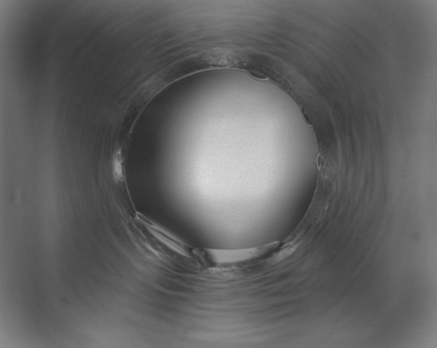 X0000073990095200609061009