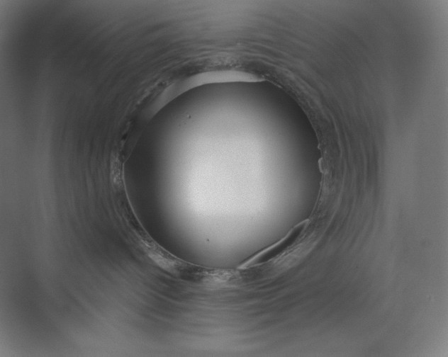 X0000073990096200609061009