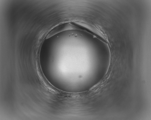 X0000073990097200609061008