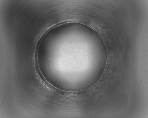 X0000073990098200609061008