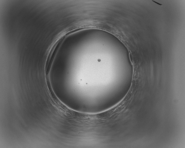 X0000073990099200609061008