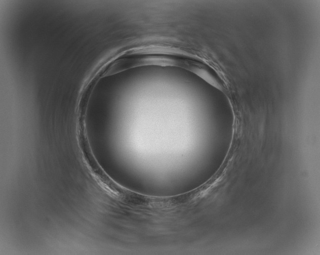 X0000073990101200609061008