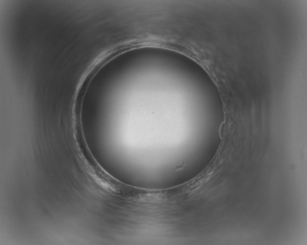 X0000073990102200609061008