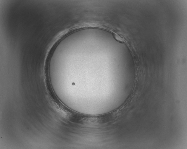 X0000073990104200609061008