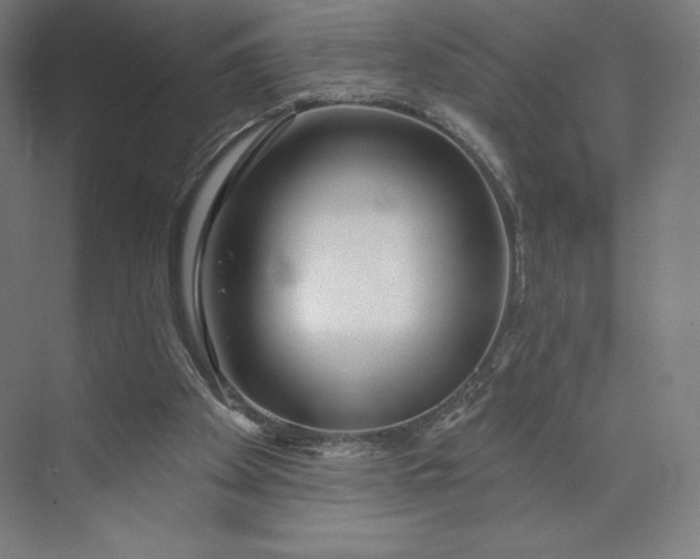 X0000073990105200609061008