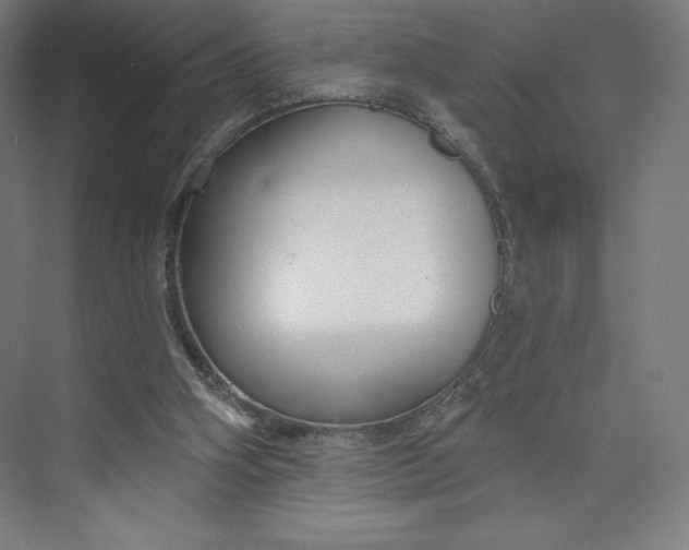 X0000073990106200609061008