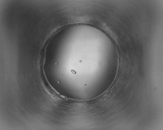 X0000073990107200609061008