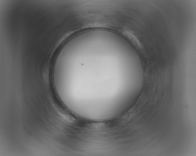 X0000073990108200609061008