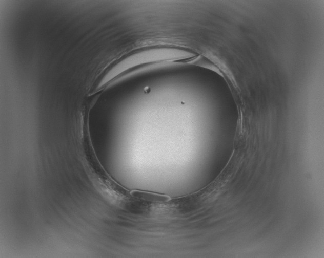 X0000073990109200609061008