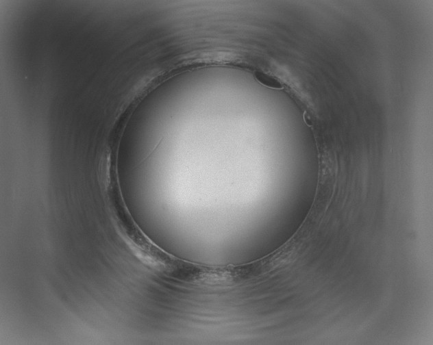 X0000073990110200609061008