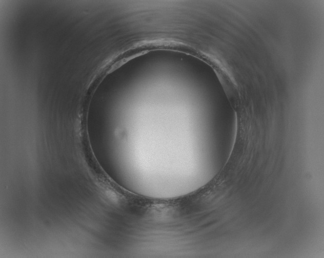 X0000073990111200609061008